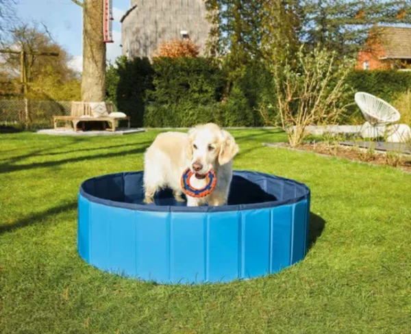 Zoofari Pet Pool, FA-07030 - Image 3