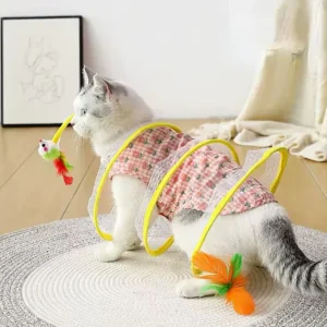 Cat Playing Tunnel, SPT-08064