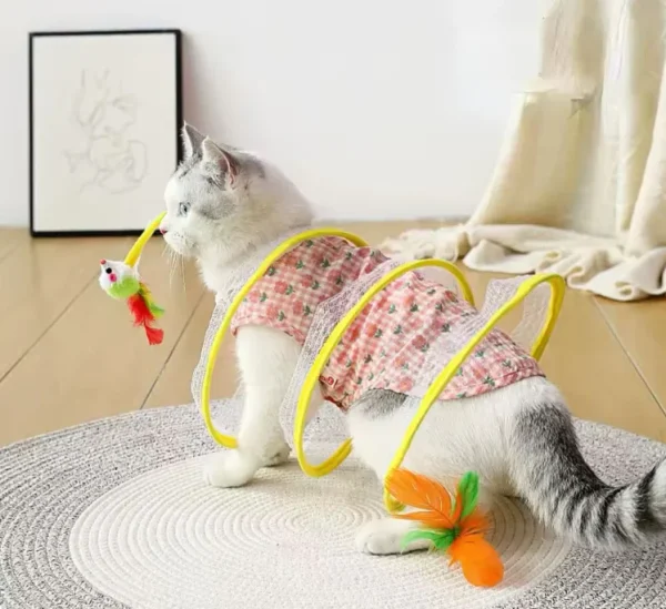 Cat Playing Tunnel, SPT-08064