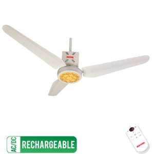 Royal Passion Flora - AC/DC Rechargeable Ceiling Fan, 56".