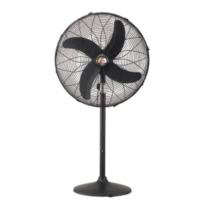 Royal Deluxe Pedestal Energy Saver fan