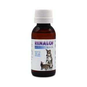 Renalof Pets by Catalysis | Pet Urinary Tract Supplement, VEP-11037