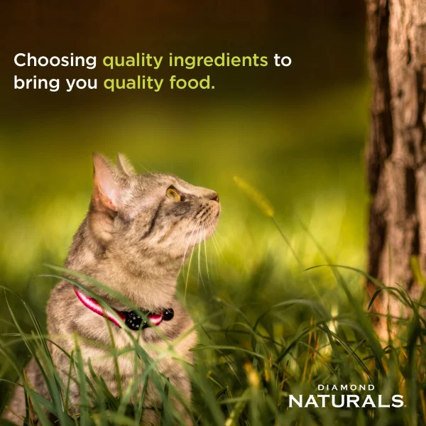 DIAMOND NATURALS INDOOR CAT CHICKEN & RICE FORMULA, PEF-15018 - Image 5