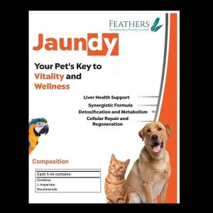 Jaundy Syrup For Pets – 120 ML, PMS-12013