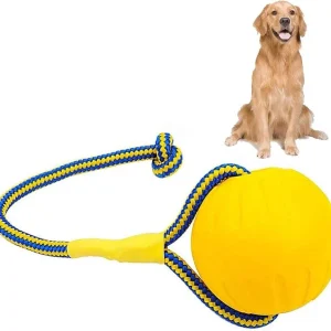 GSD Dog Training Ball with Rope