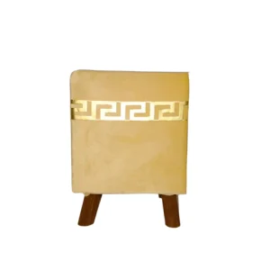 "Luxe Velvet Gold Frame Ottoman Stools – Set of 2"