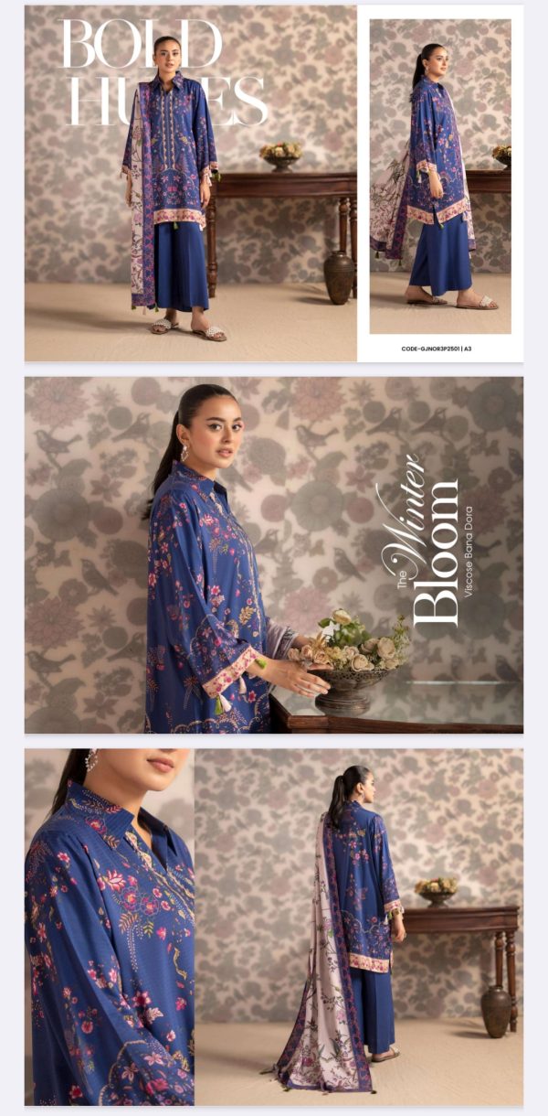 Bana Dora Viscose By Nore Guljee (Unstitched) 3 Piece, Winter Collection, New Collection 2025. - Image 4
