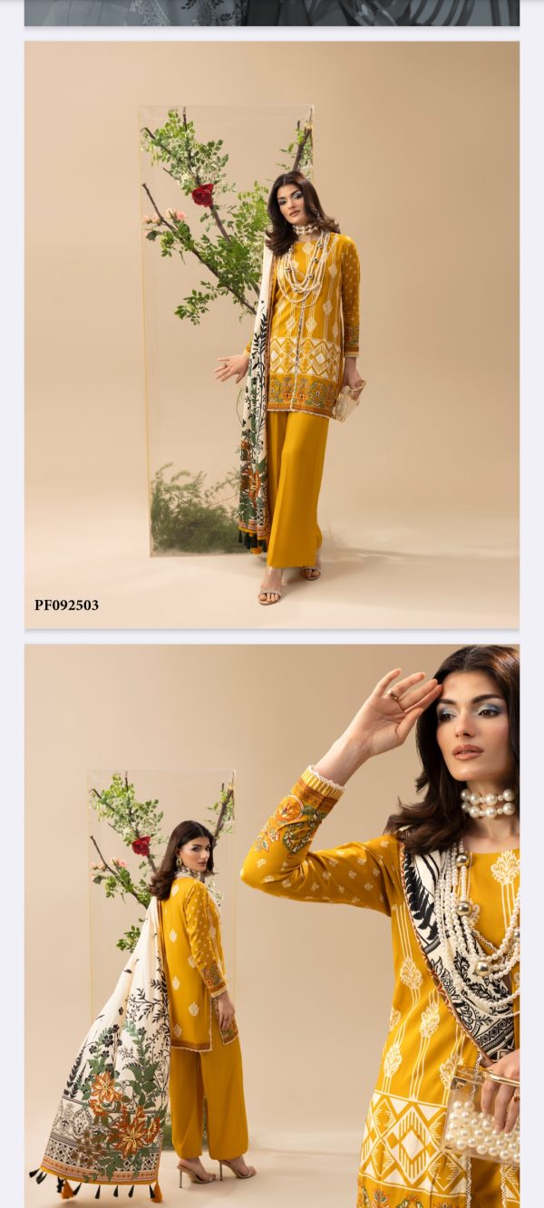 Tasawwur By Paltar (Unstitched) Slub Linen, 3 Piece, Volume 3, Winter Collection, New Collection 2025. - Image 12