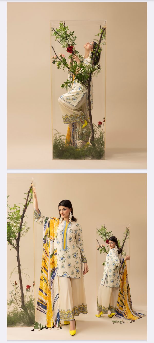 Tasawwur By Paltar (Unstitched) Slub Linen, 3 Piece, Volume 3, Winter Collection, New Collection 2025. - Image 7