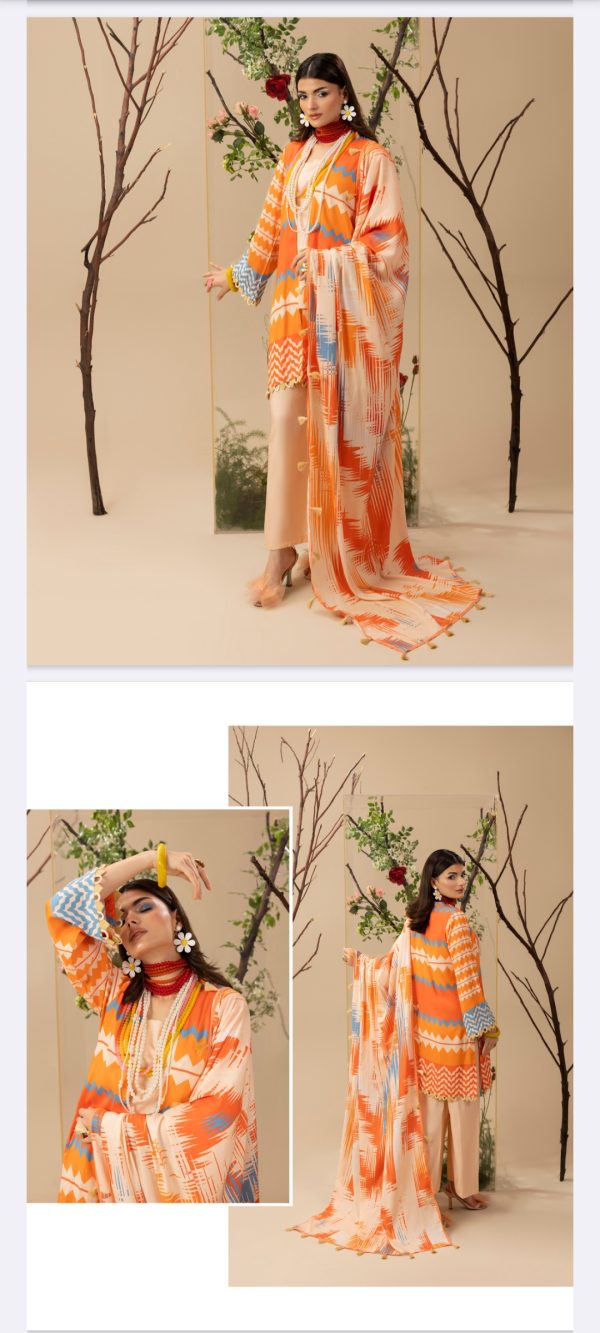 Tasawwur By Paltar (Unstitched) Slub Linen, 3 Piece, Volume 3, Winter Collection, New Collection 2025. - Image 3