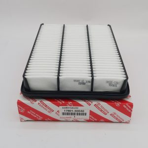 Toyota Prado KZJ120 Air Filter 2009 OEM: 17801-30040