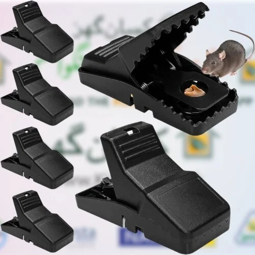 PLASTIC MOUSE TRAP (Rat killer) - Image 3