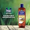 Parachute Advanced Castor & Shea Enriched Coconut Hair Oil For Thick & Strong Hair, 100 ml.