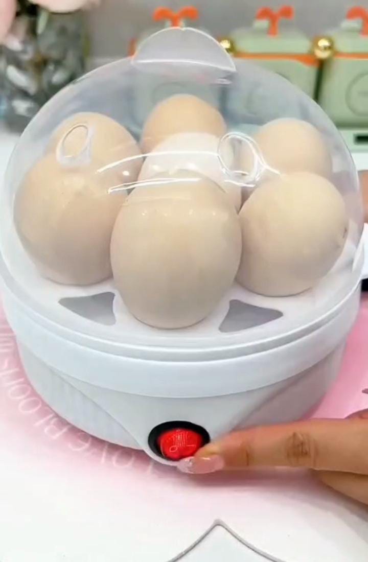 3 in 1 Electric Egg Boiler/Egg Poacher/ Egg Cooker/Vegetable Steamer /Egg Steamer: - Image 2