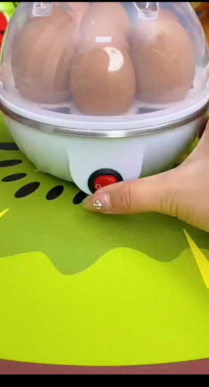 3 in 1 Electric Egg Boiler/Egg Poacher/ Egg Cooker/Vegetable Steamer /Egg Steamer: - Image 5