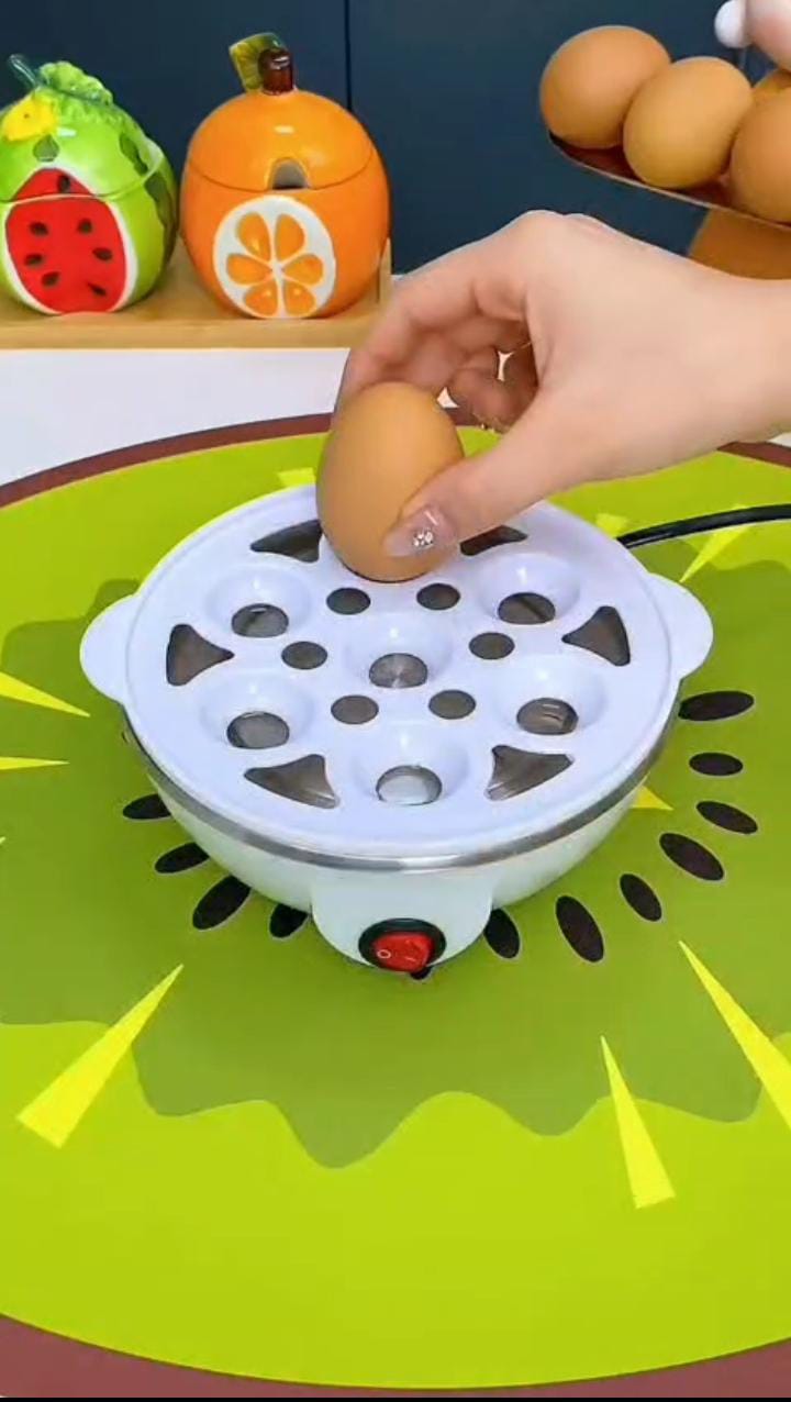 3 in 1 Electric Egg Boiler/Egg Poacher/ Egg Cooker/Vegetable Steamer /Egg Steamer: - Image 7