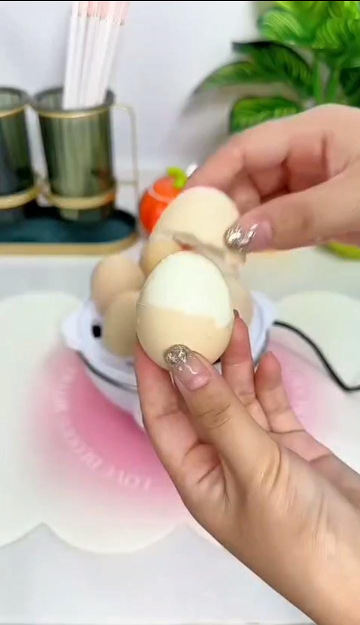 3 in 1 Electric Egg Boiler/Egg Poacher/ Egg Cooker/Vegetable Steamer /Egg Steamer: - Image 8