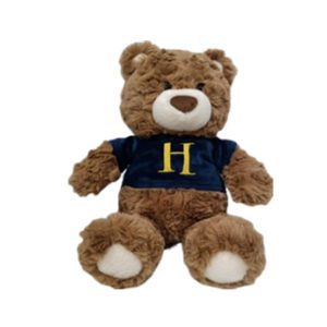 Miniso Harry Potter Sweatshirt Gift Bear Plush Toy, Size: 10 inches, Color: Blue, Red.