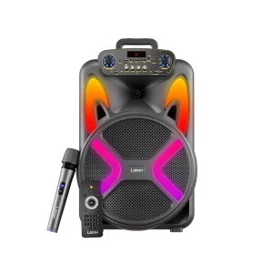 Login L-265 Ronaq | 12 inch Wireless Speaker: