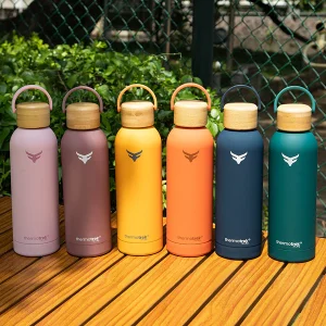 ThermoTrek Charlie Series โ Insulated Stainless Steel Bottle 500ML: